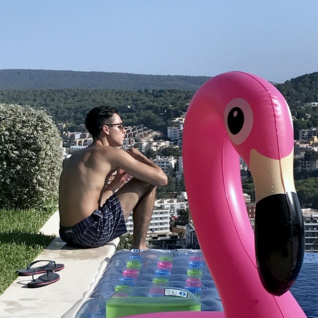 s_wendl_lucas_flamingo Bestattungen Dunker - Kondolenzbücher - Lucas Wendl