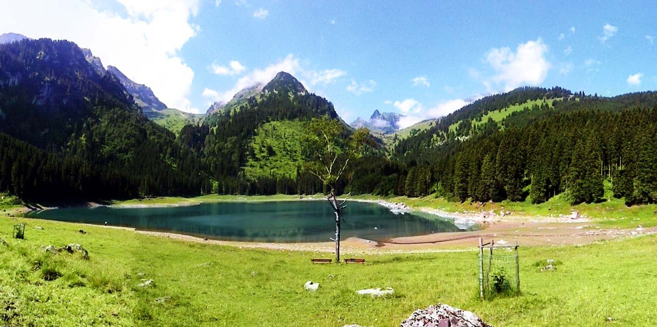m_fld128_schweiz_img_0630 Bestattungen Dunker – Wiesenbestattung in der Schweiz